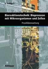 Bioreaktionstechnik: Bioprozesse mit Mikroorganismen und Zellen: Prozeßüberwachung