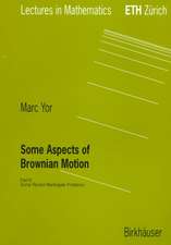 Some Aspects of Brownian Motion