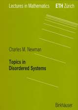 Topics in Disordered Systems