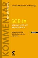 SGB IX Sozialgesetzbuch IX