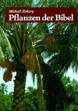 Pflanzen der Bibel. Sonderausgabe