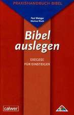 Bibel auslegen - Exegese für Einsteiger