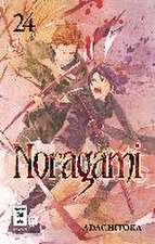 Noragami 24