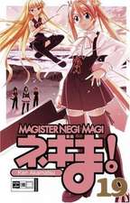 Negima! Magister Negi Magi 19