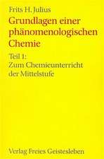 Grundlagen einer phänomenologischen Chemie