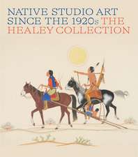 Native Studio Art Since the 1920s: The Healey Collection