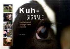 Kuh-Signale