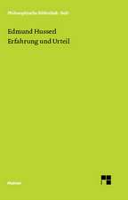 Erfahrung Und Urteil: Thomas Von Aquin Und Die Scholastik