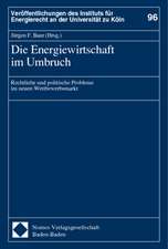 Die Energiewirtschaft im Umbruch