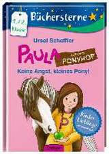 Paula auf dem Ponyhof 03: Keine Angst, kleines Pony!