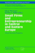 Small Firms and Entrepreneurship in Central and Eastern Europe: A Socio-Economic Perspective