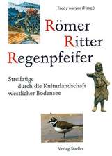 Römer, Ritter, Regenpfeifer