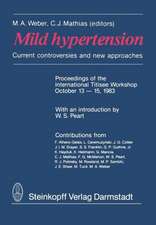 Mild hypertension: Current controversies and new approaches