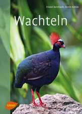 Wachteln