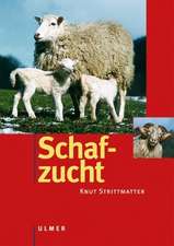 Schafzucht