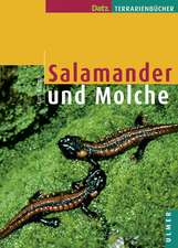 Salamander und Molche