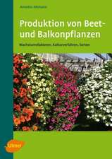 Produktion von Beet- und Balkonpflanzen