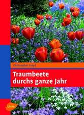 Traumbeete durchs ganze Jahr