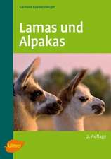 Lamas und Alpakas