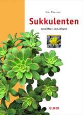 Sukkulenten