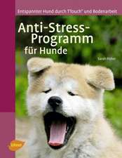 Anti-Stress-Programm für Hunde