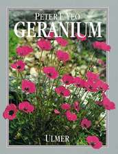 Yeo, P: Geranium