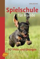 Spielschule für Hunde