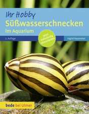 Süßwasserschnecken im Aquarium