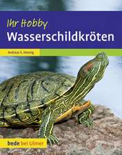 Wasserschildkröten. Ihr Hobby