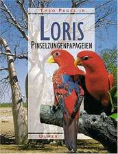 Loris