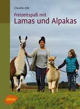 Freizeitspaß mit Lamas und Alpakas