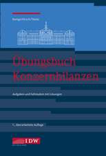 Übungsbuch Konzernbilanzen