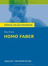 Homo faber. Textanalyse und Interpretation