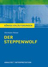 Textanalyse und Interpretation zu Hermann Hesse. Der Steppenwolf