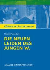 Die neuen Leiden des jungen W. von Ulrich Plenzdorf. Textanalyse und Interpretation