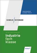 Industriefachklasse. Schülerbuch. 3. Ausbildungsjahr. Lernfelder 10 bis 12