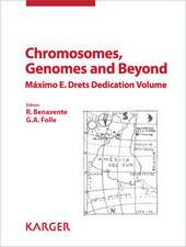 Chromosomes, Genomes and Beyond