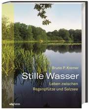 Stille Wasser