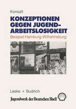 Konzeptionen gegen Jugendarbeitslosigkeit: Beispiel: Hamburg-Wilhelmsburg. Eine Fallstudie im Rahmen der OECD-Untersuchung „Disadvantaged Youth in Depressed Urban Areas“