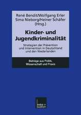 Kinder- und Jugendkriminalität: Strategien der Prävention und Intervention in Deutschland und den Niederlanden