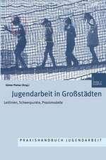 Jugendarbeit in Großstädten: Leitlinien Schwerpunkte Praxismodelle