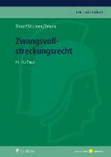 Zwangsvollstreckungsrecht