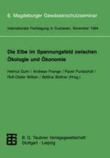 Die Elbe im Spannungsfeld zwischen Ökologie und Ökonomie: 6. Magdeburger Gewässerschutzseminar Internationale Fachtagung in Cuxhaven vom 8. bis 12. November 1994