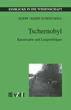 Tschernobyl: Katastrophe und Langzeitfolgen