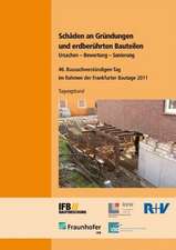 Schäden an Gründungen und erdberührten Bauteilen. Ursachen - Bewertung - Sanierung