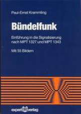 Bündelfunk