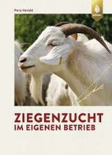 Ziegenzucht im eigenen Betrieb