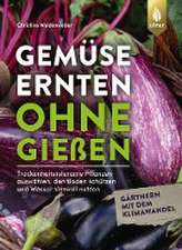 Gemüse ernten ohne gießen