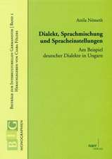 Dialekt, Sprachmischungen und Spracheinstellungen