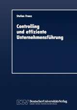 Controlling und effiziente Unternehmensführung: Theoretische Grundzüge und Überprüfung an einem Praxisbeispiel